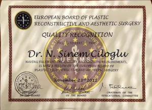 sinem-eroglu-sertifika