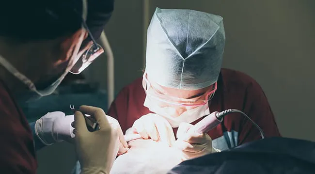 Saç ekimi operasyonu