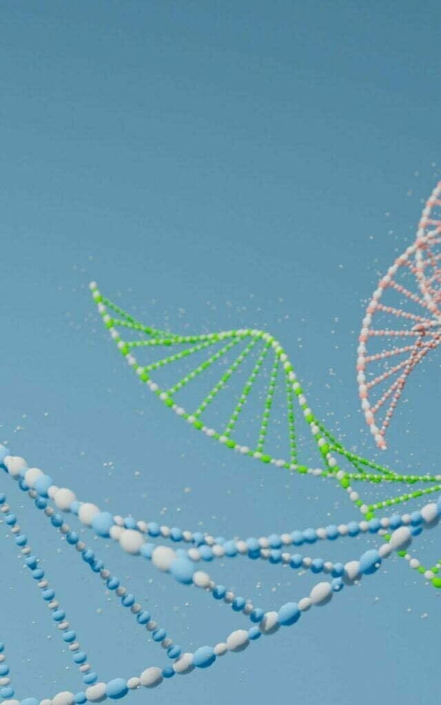 What is Salmon DNA? How to apply it?