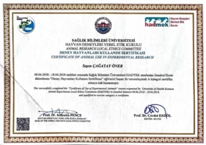 cagatay-oner-sertifikalar-3
