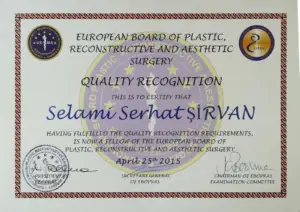 1-EUROPEAN BOARD OF PLASTIC, RECONSTRUCTIVE AND AESTHETIC SURGERY