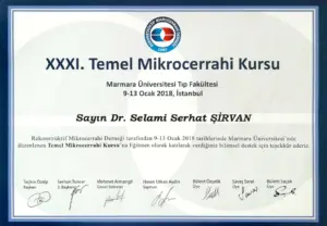 35- 31. temel mikroc