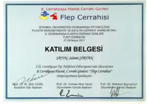 48-8.flep cerrahisi