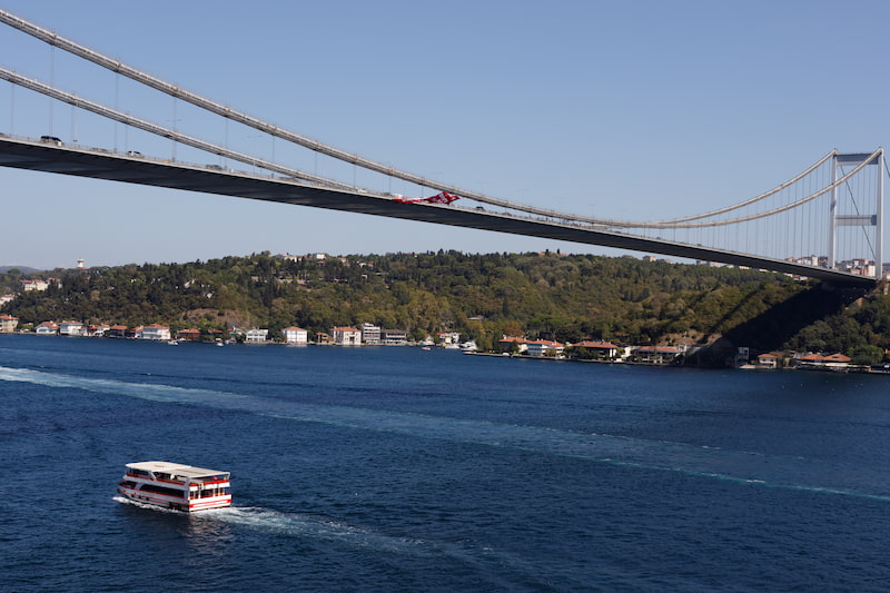 Turkey Fox Eye Surgery Vanity